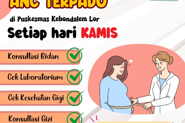 Ibu hamil, kenapa harus ANC Terpadu??
